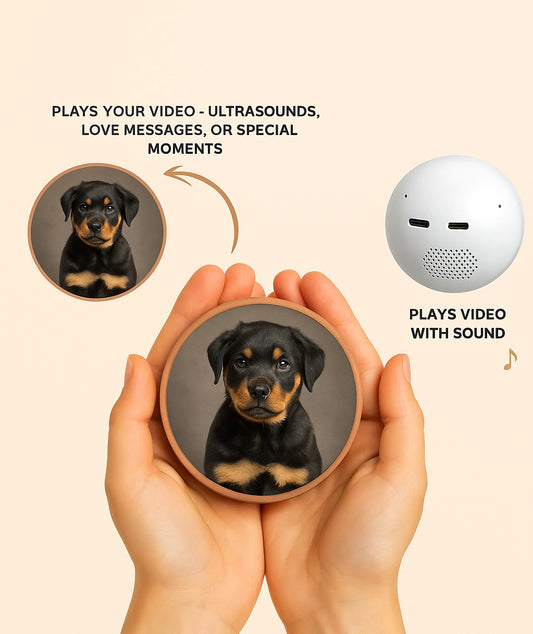 Glowcelya Memory Video Ball